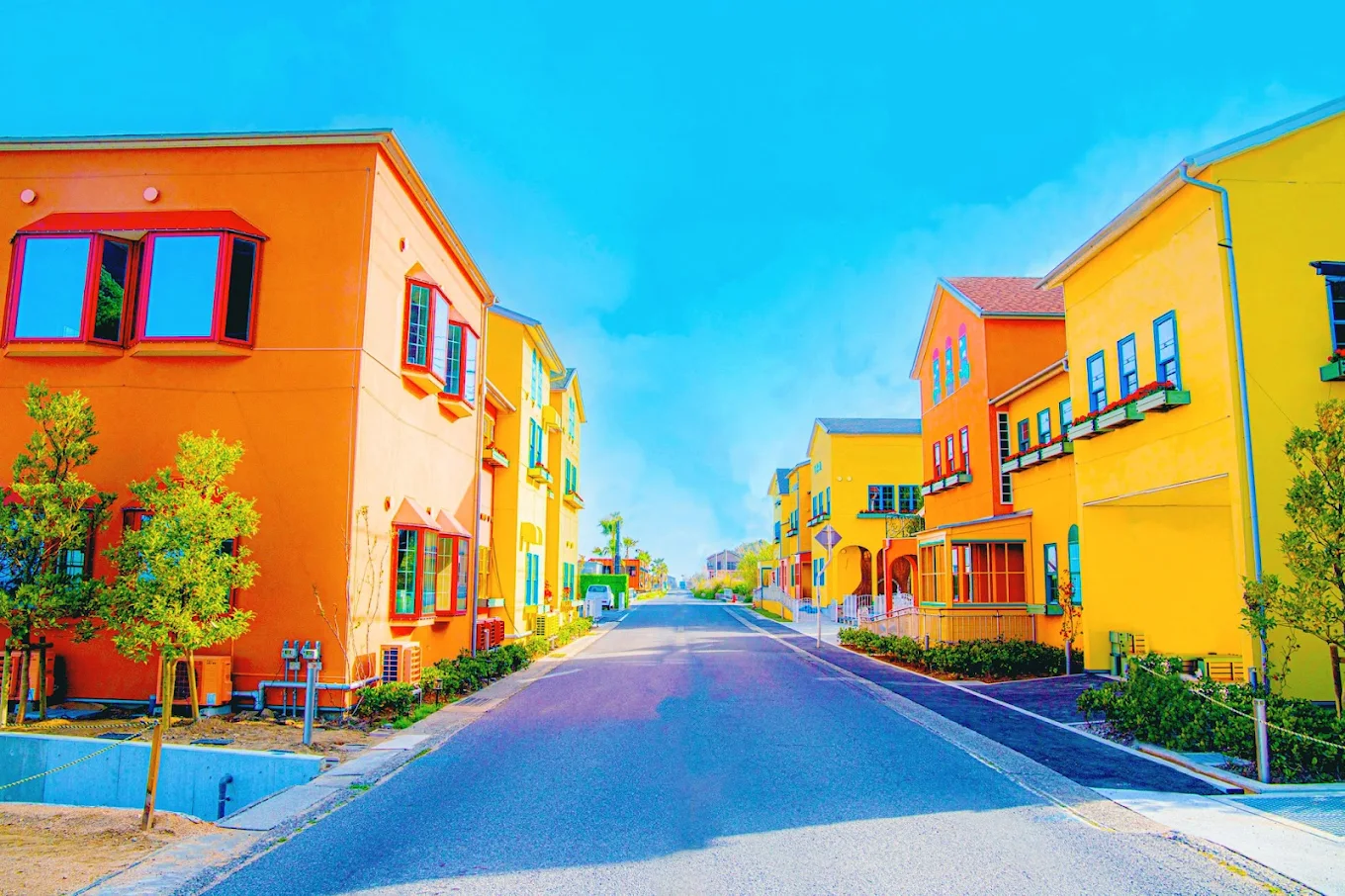 Ladybird Road